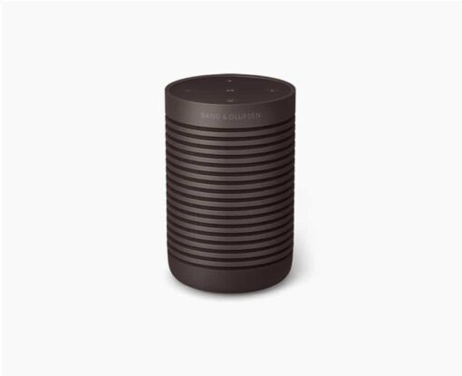 B&O Beosound Explore - Chestnut - Bluetooth - Produktbillede